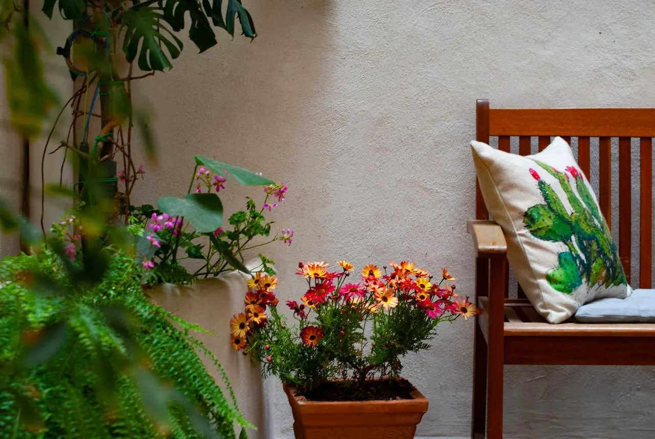 فندق مبيت وإفطار باليرمو Affittacamere B&B Carella